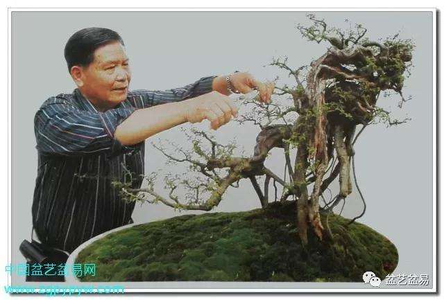 广州盆景艺术家