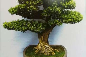 北京世界盆景博览会在沩水河畔隆重举办