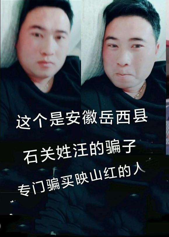 安徽的一个映山红下山桩便宜