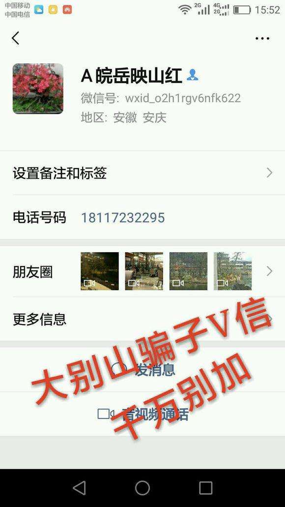 安徽的一个映山红下山桩便宜