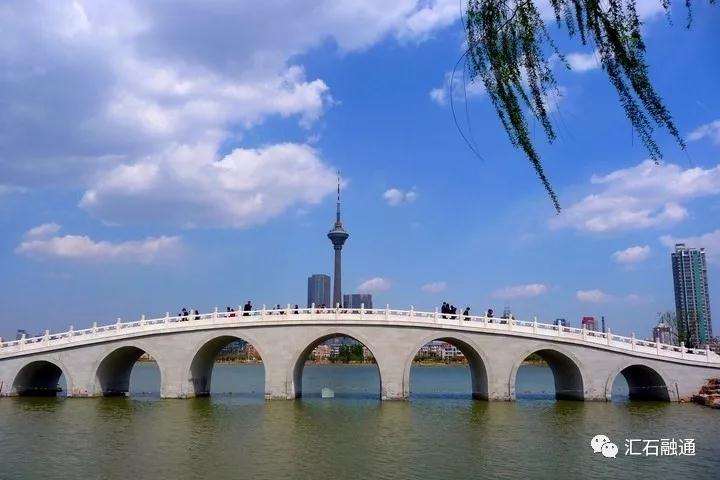 天津首届运河杯盆景赏石艺术展邀请函