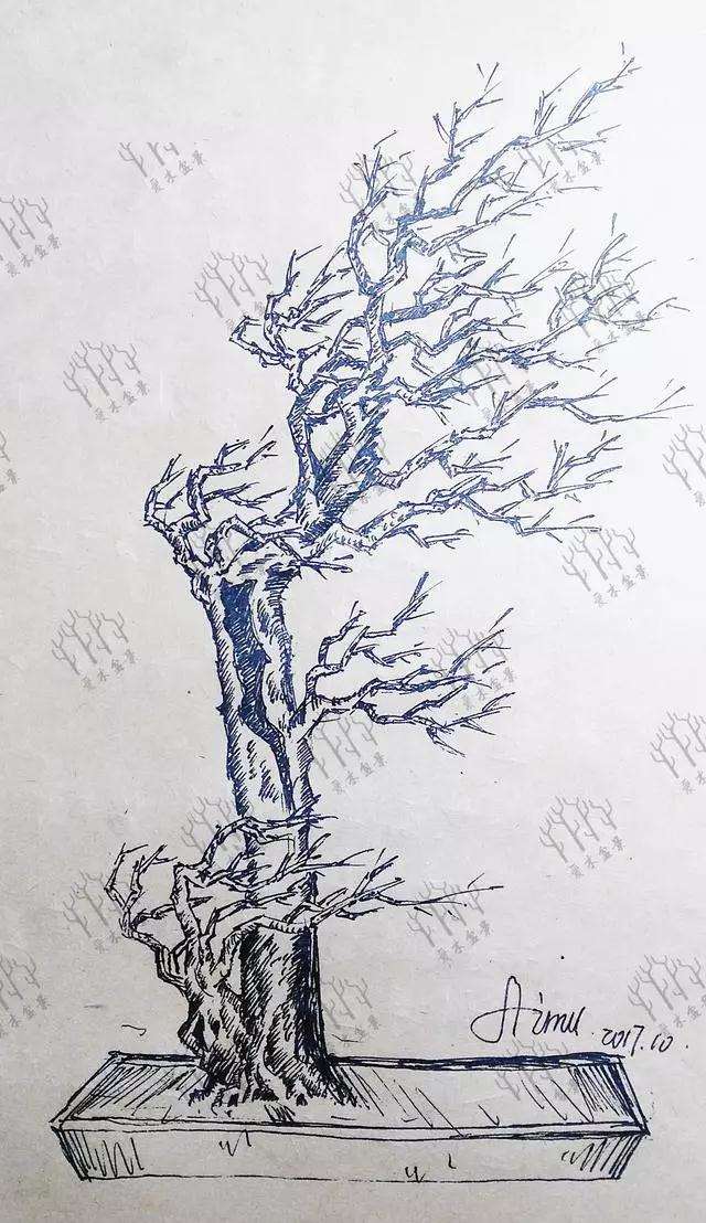 博兰风动型盆景怎么造型设计的方法