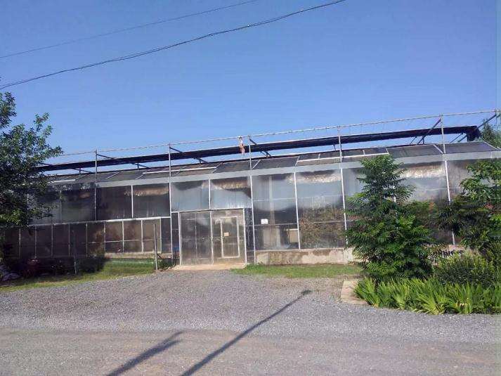 华源发创意盆景绿植区对外招租