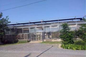 北京华源发创意盆景绿植区对外招租