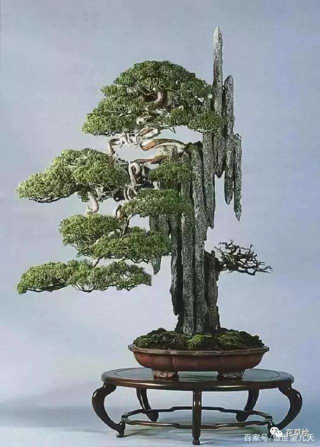 怎么制作砂积石山水盆景的方法