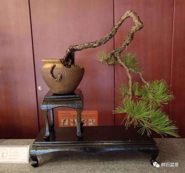 2019年 胡乐国盆景艺术研讨会