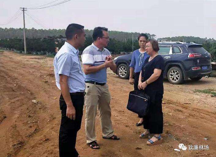 余超燊书记对罗汉松基地建设工作提三要求