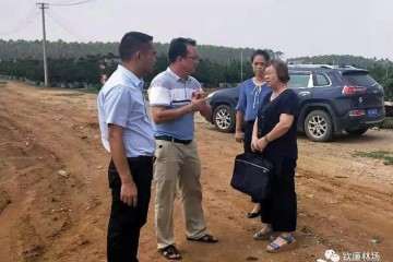 余超燊对罗汉松盆景基地建设工作提要求