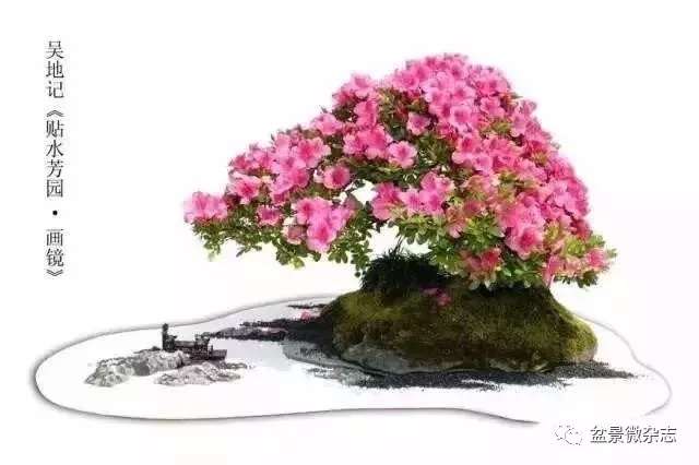 砚式盆景怎么构思布置的方法