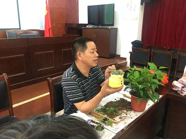 为奉浦居民提供一场精彩的盆景讲座