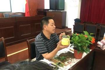 为奉浦居民提供一场精彩的盆景讲座