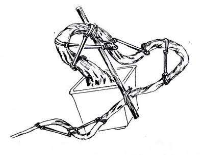图解 铝丝缠绕对树木盆景怎么造型的方法