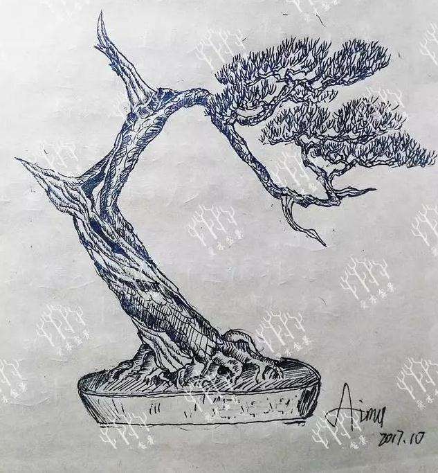 松树桩材盆景怎么去掉大枝的方法