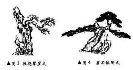 图解 附石式盆景怎么制作的方法