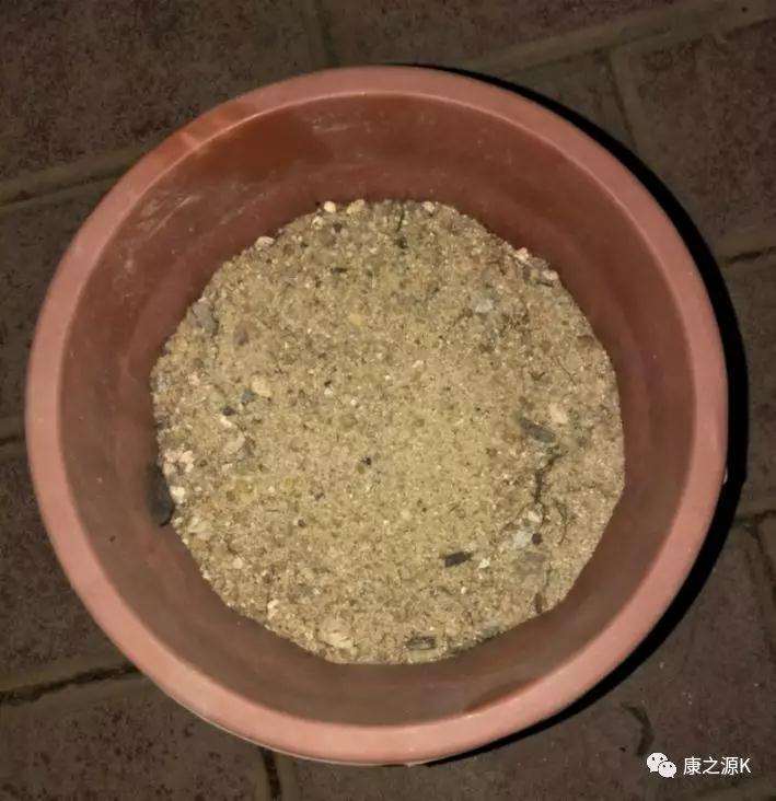 罗汉松盆景怎么扦插修剪的7个方法