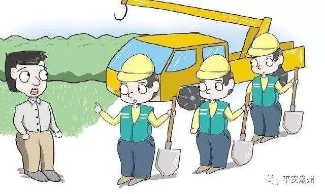 多个花木场罗汉松盆景深夜被窃