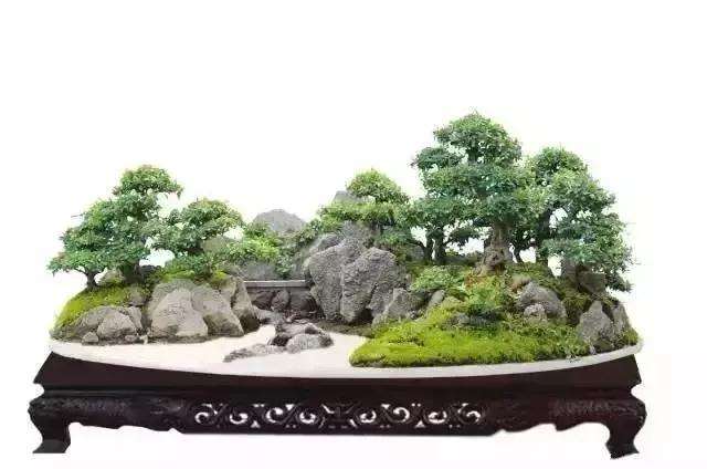 山水盆景怎么立意构思和养护