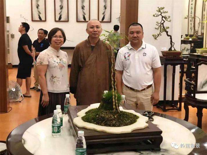 文人树盆景艺术受业界追捧的热度始终不减