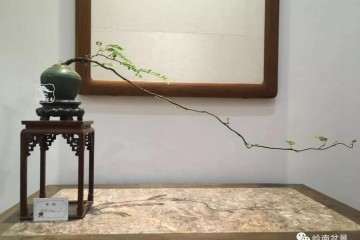 文人树盆景艺术受业界追捧的热度始终不减