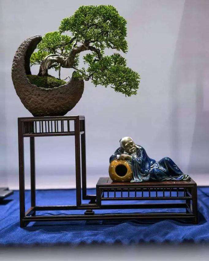 盆景怎么脱衣换锦的5个技法