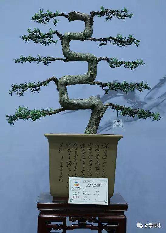 中国盆景流派展厅