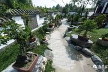 等我老了 我想到郊区建一座盆景园