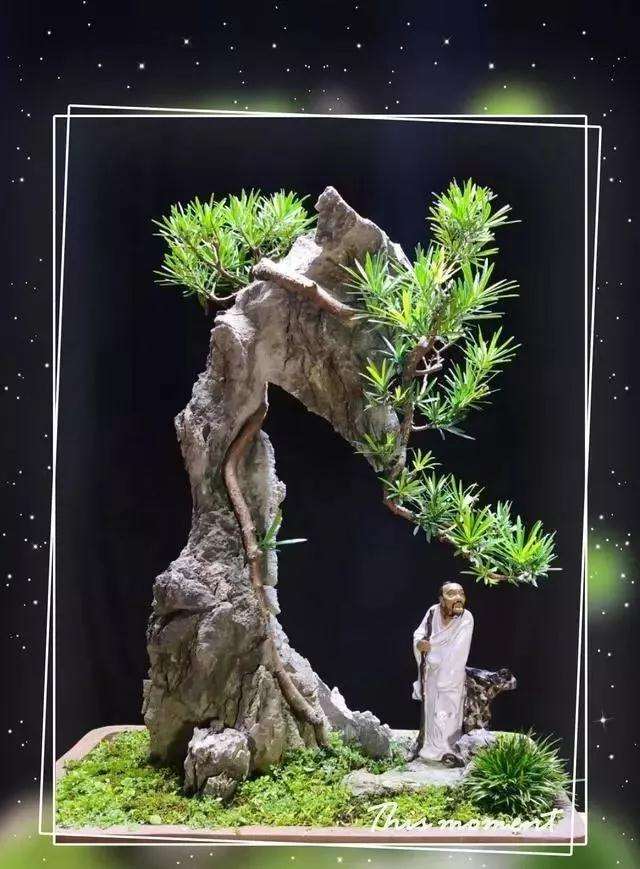 附石盆景怎么制作造型的教程