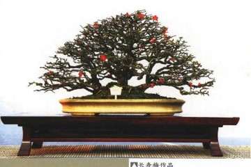 湖州市南得区花卉盆景协会成立于2013年