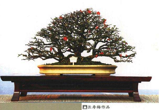 2019年 江苏盆景联盟无锡分会成立