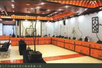 2017年 海幢寺举办的素仁格盆景艺术研讨会