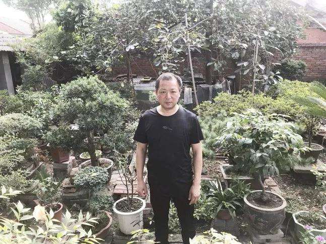 王滨对盆景的栽植很有研究经验