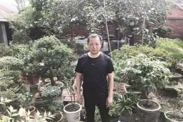 王滨对盆景的栽植很有研究经验