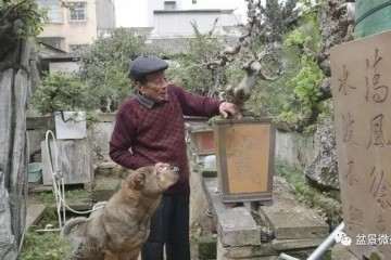 澄海盆景爱好者 50岁的张焕先