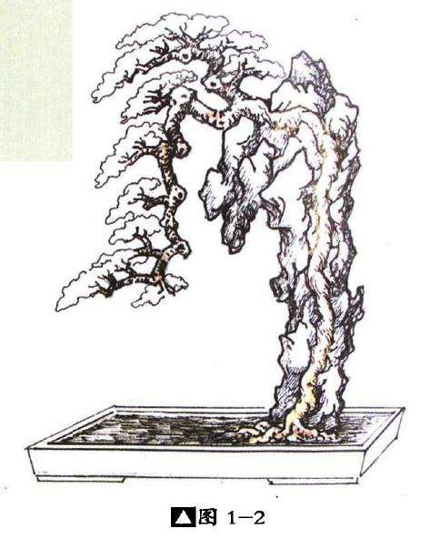 图解 嵌入式附石盆景怎么制作的13个过程