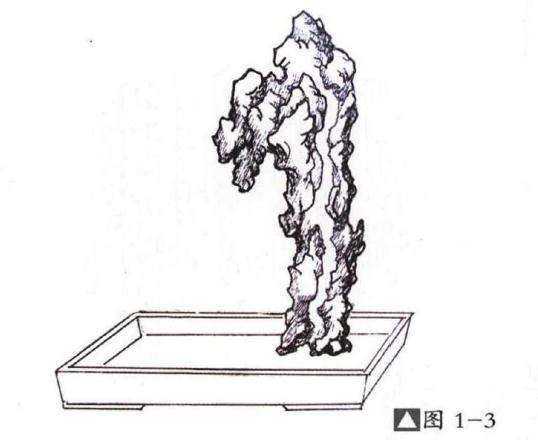 图解 嵌入式附石盆景怎么制作的13个过程