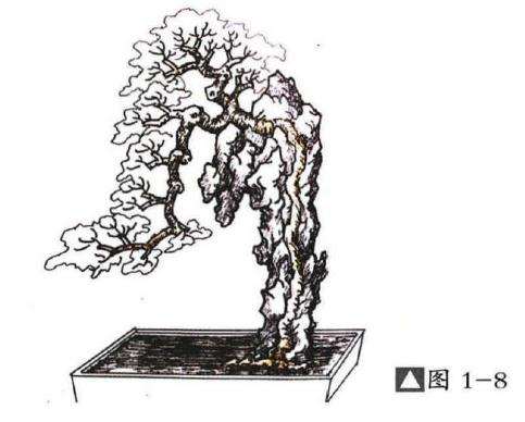 图解 嵌入式附石盆景怎么制作的13个过程