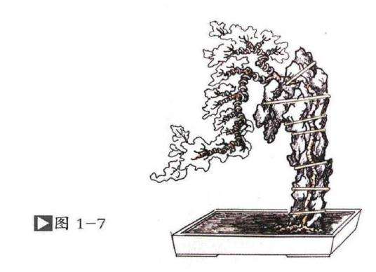 图解 嵌入式附石盆景怎么制作的13个过程