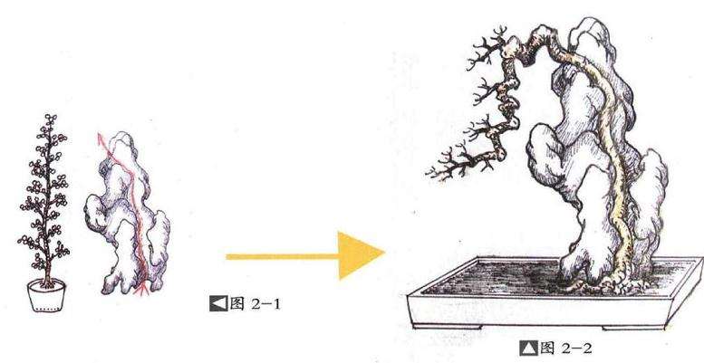 图解 切槽嵌入式附石盆景怎么制作