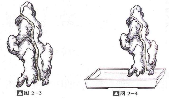 图解 切槽嵌入式附石盆景怎么制作