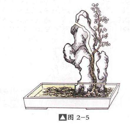 图解 切槽嵌入式附石盆景怎么制作