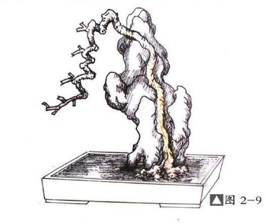 图解 切槽嵌入式附石盆景怎么制作