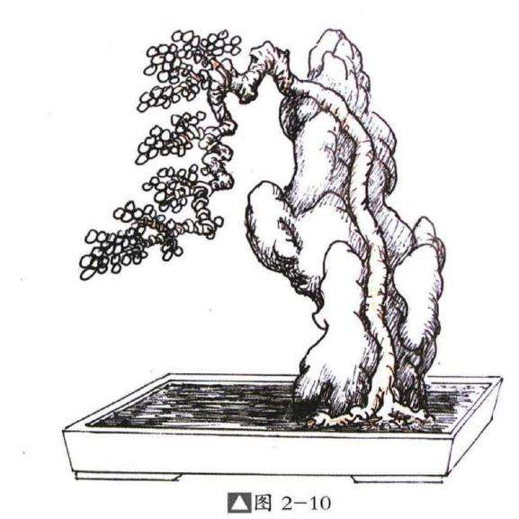 图解 切槽嵌入式附石盆景怎么制作