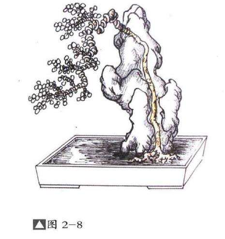 图解 切槽嵌入式附石盆景怎么制作