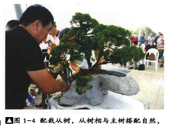 李云龙山水盆景怎么制作的方法