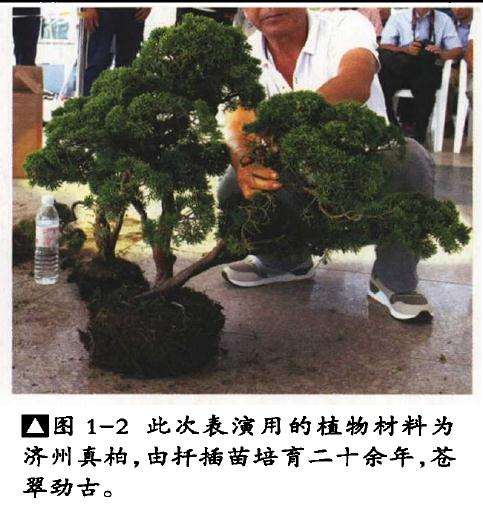 李云龙山水盆景怎么制作的方法