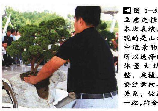 图解 李云龙山水盆景怎么制作的方法