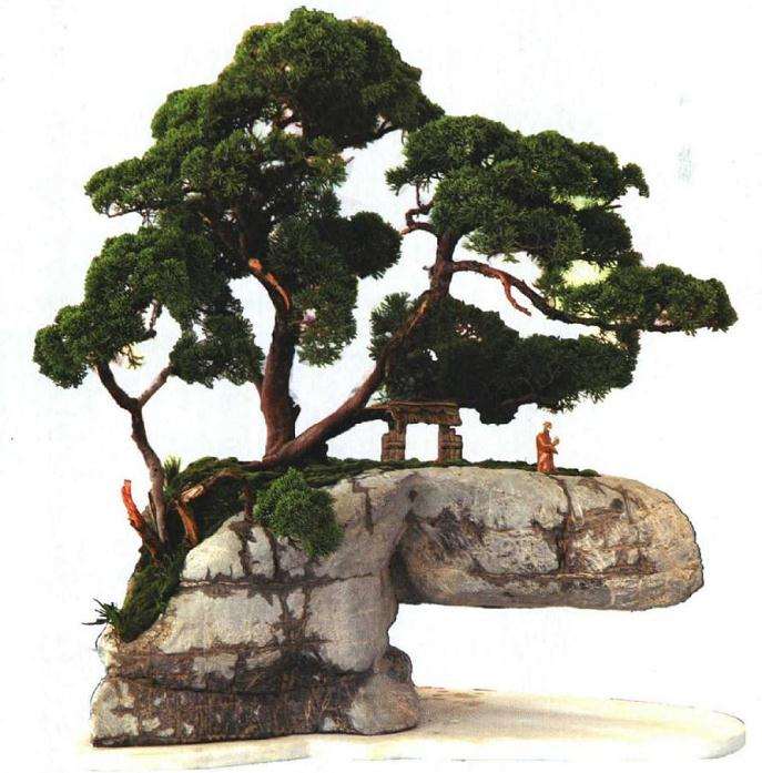 李云龙山水盆景怎么制作的方法