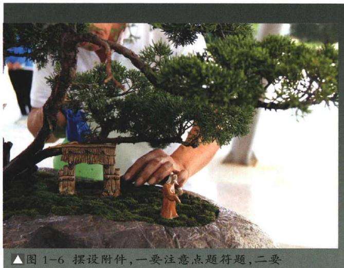 李云龙山水盆景怎么制作的方法