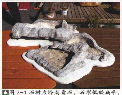 石榴青苔盆景怎么制作的方法