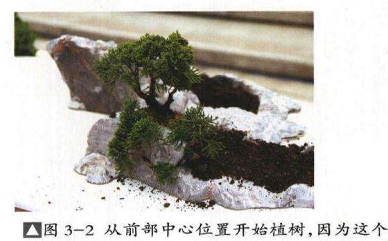 青石盆景怎么修剪调整的方法